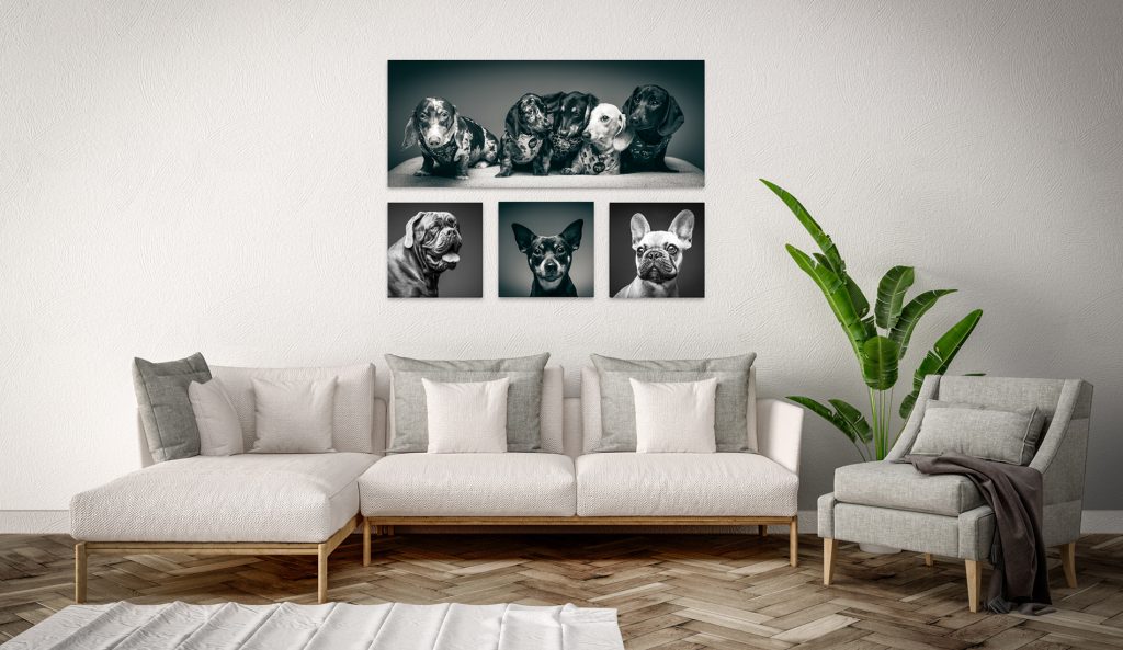 wall canvas artwork by Creative Focus Photography studio