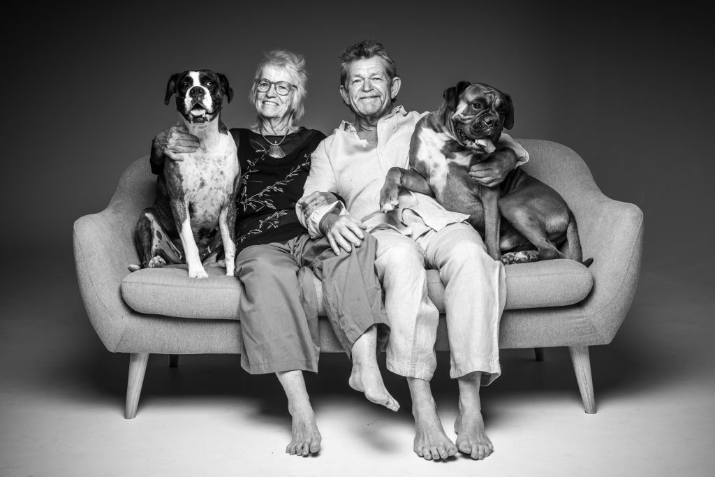 dog portraits in Gold Coast Photography Studio